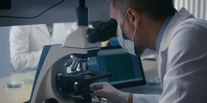 Independent Develop Paint Protection Film Independent Develop Paint Protection Film